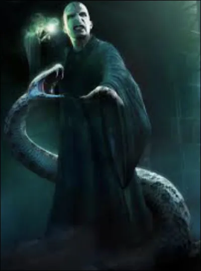 Qui confirme à Voldemort qu'Harry est mort dans la forêt ?