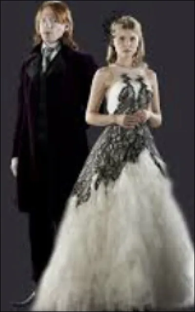 Au mariage de Bill et Fleur, à quel endroit Harry, Hermione et Ron transplanent-ils ?