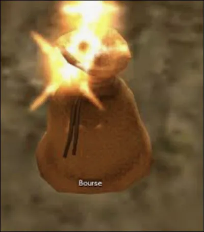 La bourse qu'Hagrid offre à Harry est en :