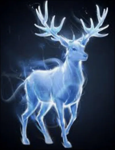Quel est le Patronus du frère de Dumbledore ?