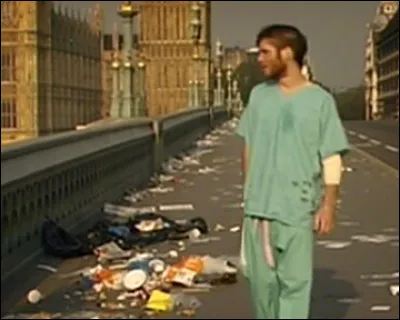 Dans le film « 28 jours plus tard », quels êtres vivants sont à l'origine porteurs du virus qui transforme les personnes contaminées en tueurs sanguinaires ?