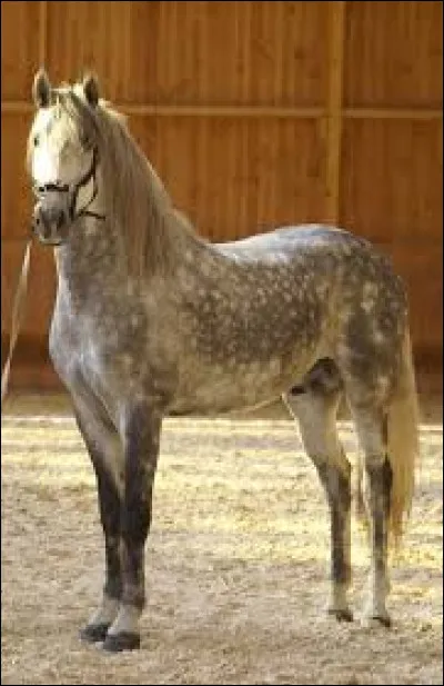 Et on termine avec cette dernière réponse !