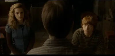 Qui délivre Harry du sort jeté par Drago, dans le train ?