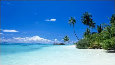 À ta fête, tes parents te disent que vous allez dans le sud ! Quelle est ta réaction ?