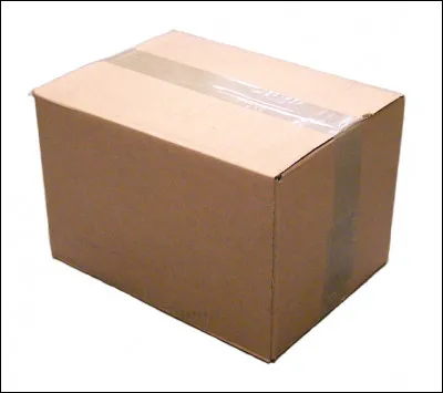 Enfin rendue à l'hôtel, tu sautes sur le lit et t'étends. Ouf ! Dure journée ! Et là, tes parents entrent dans ta chambre. Tu pars pour leur dire (ou plutôt crier) de sortir, lorsqu'ils te donnent une boîte. Qu'est-ce qu'il y a dedans ?