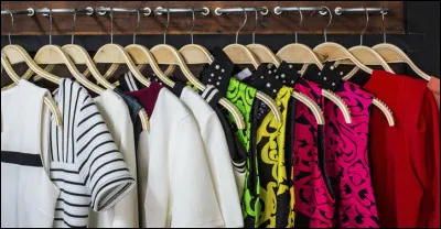 Ton style vestimentaire est :