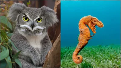 Quel animal préfères-tu ?