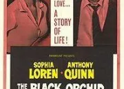 Quiz Le Bon Rle : Anthony Quinn