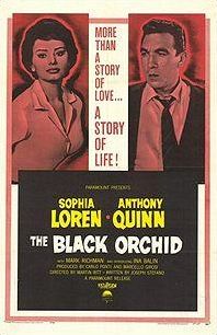 Quiz Affiche