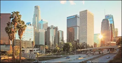 Quel animal représente l'emblème de la Californie ?