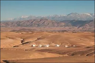 J'ai eu la chance de monter, au coucher du Soleil, un dromadaire dans le désert d'Agafay : pourriez-vous me dire ce qui est juste à son sujet ?