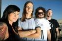Quiz Rock