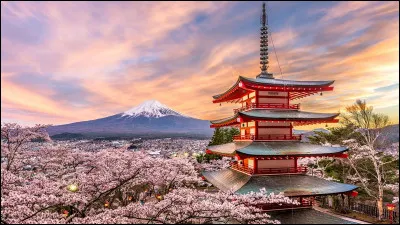 Comment s'appelle le morceau de tissu que les lutteurs de sumo portent à la taille ?