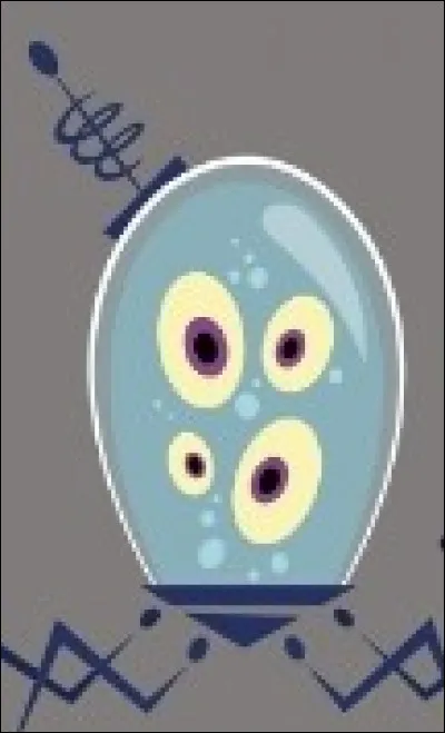 Quelle était la fonction du robot Contact ?