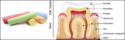 Un tantinet plus compliqué, mais vous devriez trouver à quel ordre appartient l'animal terrestre que nous délivre ce rébus.