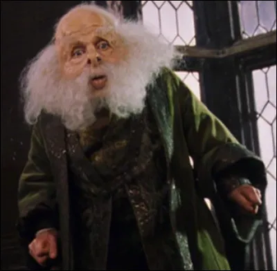 Quelle professeure apprend la lévitation dans Harry Potter 1 ?