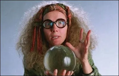 Quel est le nom de ce professeur de Poudlard ?