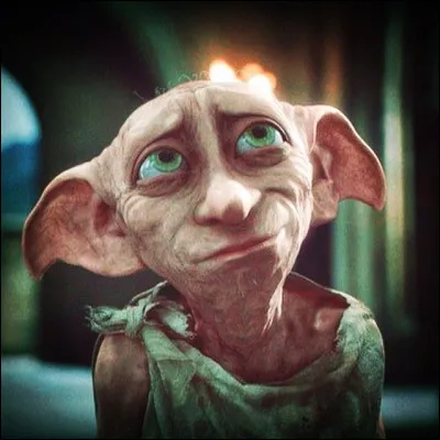 Qui tue Dobby ?