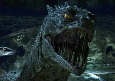 Dans Harry Potter 2 qui est la première victime du basilic ?