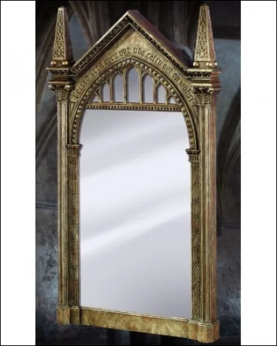 Que voit Harry Potter dans le miroir du Riséd ?