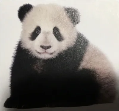 Comment s'appelle cet animal ?