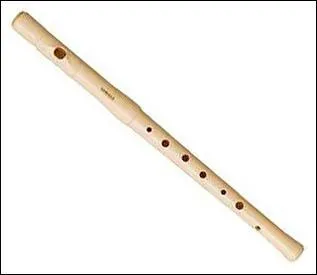 Quel est cet instrument ?