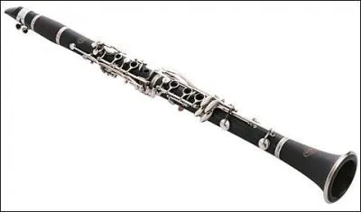 Quel est cet instrument ?