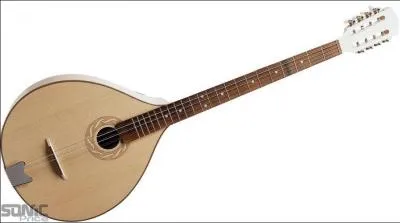 Quel est cet instrument ?