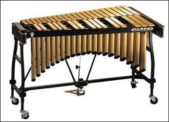 Quel est cet instrument ?