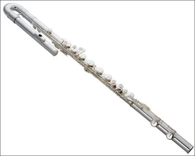 Quel est cet instrument ?