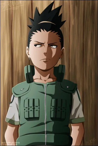 Quel est le nom de famille de Shikamaru ?