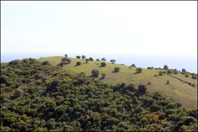 Dans quel pays se trouve la ville de Rosso ?