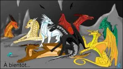 Si tu as r&eacute;pondu "autre", tes types de dragons pr&eacute;f&eacute;r&eacute;s sont :