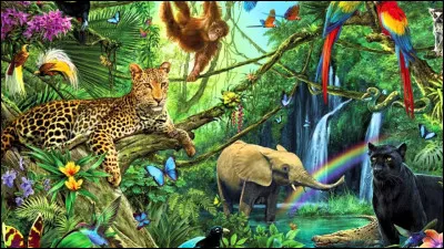 Quels sont tes animaux préférés ?