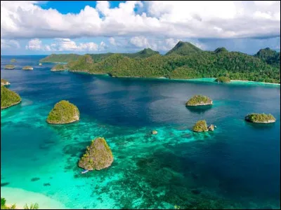 Quels sont les deux pays qui se partagent l'île de Nouvelle-Guinée ?