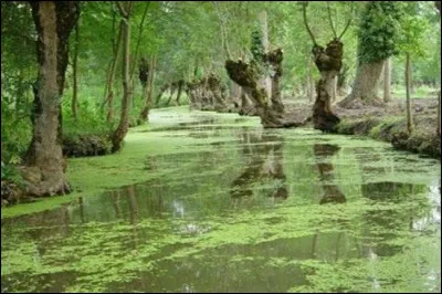 Revenons en France et à notre époque. Depuis la réforme territoriale de 2015, lequel de ces départements fait partie de la Nouvelle-Aquitaine ?