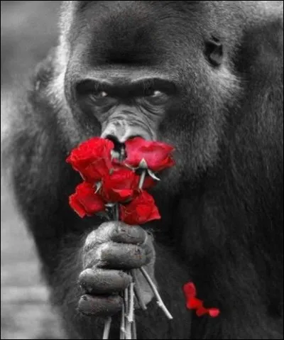 Quels primates Albert Mahuzier poursuit-il dans son roman ?