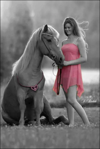 Comment était cet animal dans le titre d'un roman d'Agatha Christie ?