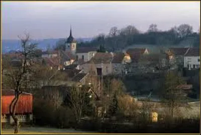 Autre commune du Grand-Est, située celle-ci dans l'arrondissement de Neufchâteau, Rebeuville est une localité du département ...