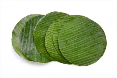 Tu restes le plus sur :