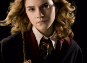 Test Hermione Granger ou Ginny Weasley ?
