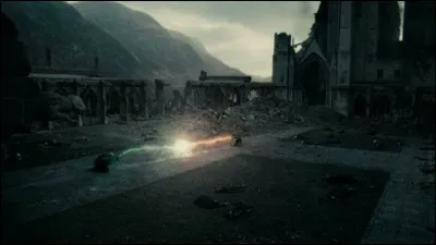 Quelle personne n'a jamais possédé toutes les Reliques de la Mort ?