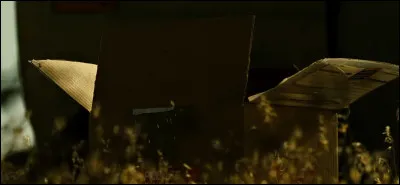 Quel péché capital justifie le premier meurtre ?