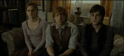 A qui Dumbledore lègue-t-il son déluminateur ?