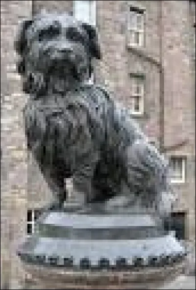 Ce petit skye-terrier est devenu célèbre et une statue a été érigée en son honneur. Ce chien était tellement attaché à son maître qu'après le décès de celui-ci, il ne quitta jamais sa tombe. Il symbolise donc la loyauté, la fidélité et l'amour qu'un chien peut avoir pour son maître. Dans quelle ville trouve-t-on cette statue ?