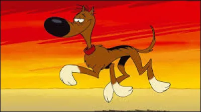 Comment s'appelle le chien nonchalant et paresseux qu'on retrouve dans les albums de bandes dessinées de Lucky Luke ?