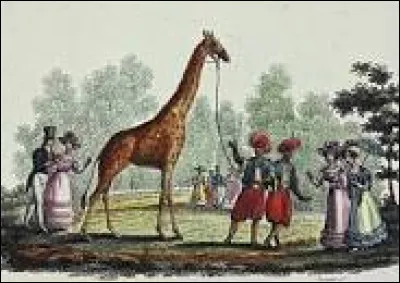 En quelle année la première girafe a-t-elle mis la patte sur le sol français ?