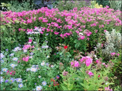 Dans quelle ville le stade de la Paix et de l'Amiti&eacute;, construit pour accueillir des &eacute;preuves des Jeux Olympiques de 2004, se situe-t-il ?