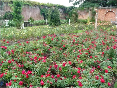 Quelle chanteuse interpr&egrave;te le titre "D'Amour ou d'Amiti&eacute;" ?