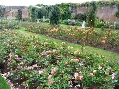 Dans le titre d'un film sorti en 2000 que l'on peut qualifier de drame ou de thriller psychologique, comment se pr&eacute;nomme l'"Ami qui vous veut du bien" ?